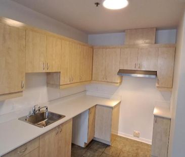 Grand 3 1/2 RENOVER, Saint-Eustache avec clientèle établi de 55+ ans - Photo 3