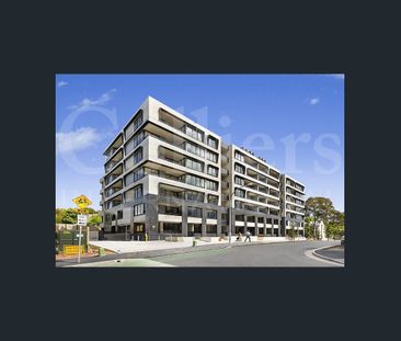 5 Elger St, Glebe, NSW 2037 - Photo 2