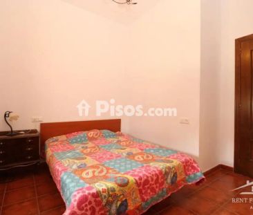 Chalet en alquiler en Calle Zona Rural - Photo 6