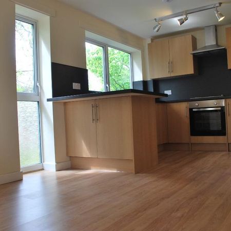 1 bedroom flat to rent - Photo 4
