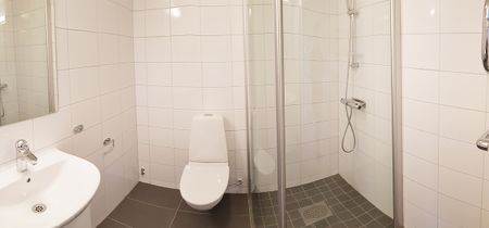 Dunkehallavägen, Jönköping - Photo 3