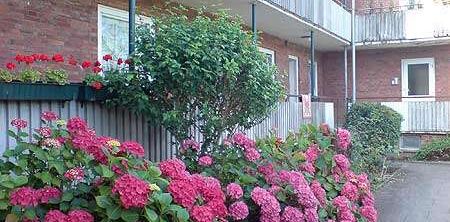 +++ANFRAGESTOPP+++Tolle 2-Zimmer Wohnung direkt am Werftpark+++ - Photo 2