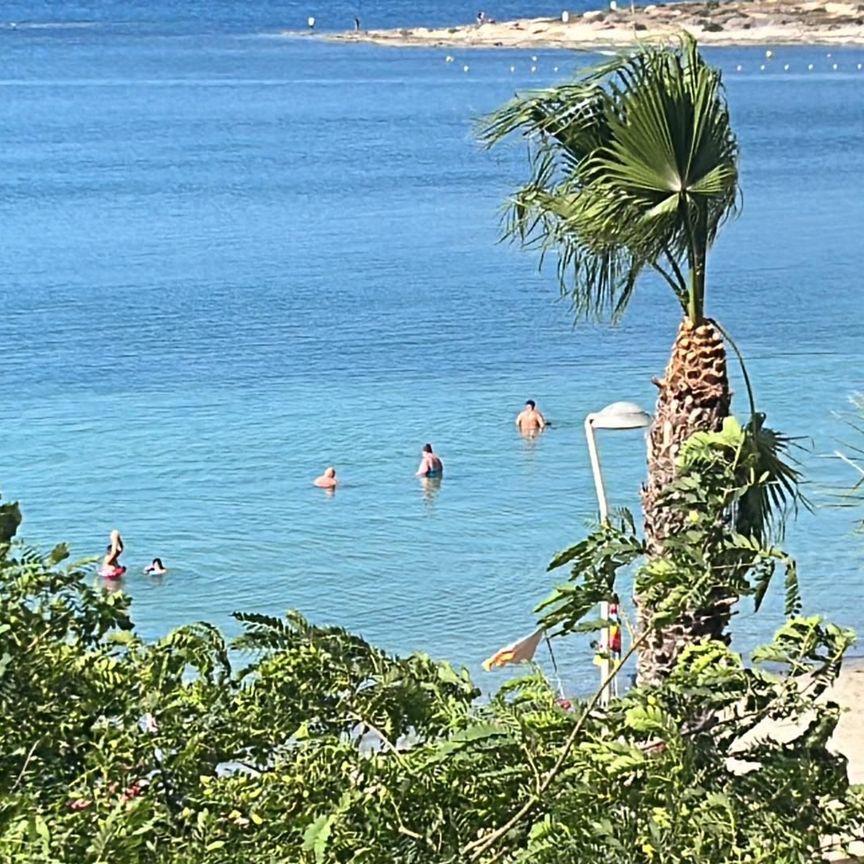 Piso de alquiler en Calle Pedaneo Vicente Molina, 13, Tomás Maestre - Photo 1