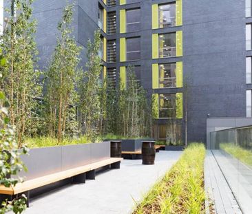 Studio to rent - Photo 6