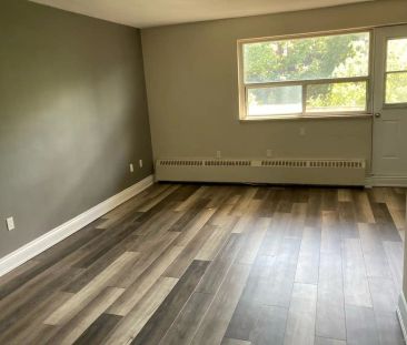 45 Paisley Blvd W — 1 Bedroom - Photo 1