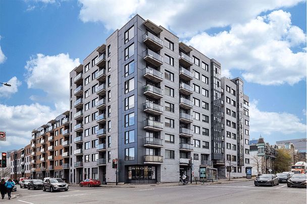 1050 Bd René-Lévesque E, Montréal, QC - Photo 1