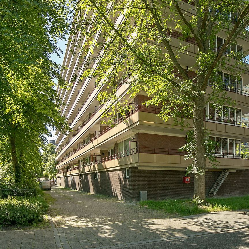 Arthur van Schendelplein 175, Voorhof-Hoogbouw, 2624CX, Delft - Foto 1