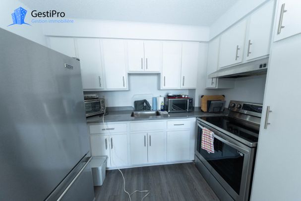 1805 de Grandville - Photo 1