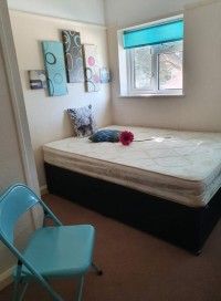 4 bed Terraced - To Let - Photo 5