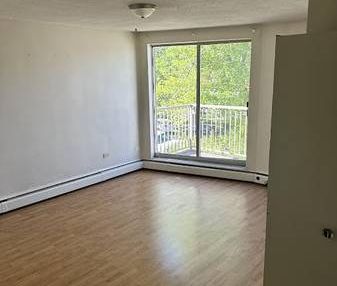 1 Bed/1 Bath Apartment - Photo 2