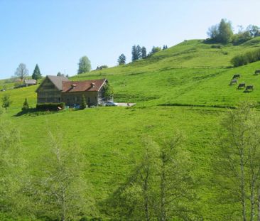 Willkommen zuhause: Gemütlich wohnen in Herisau! - Photo 5