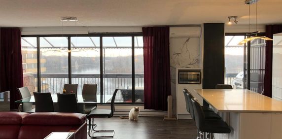 Condo à louer long terme 3 1/2, Ile paton, Laval, Chomedey, région Montreal - Photo 2