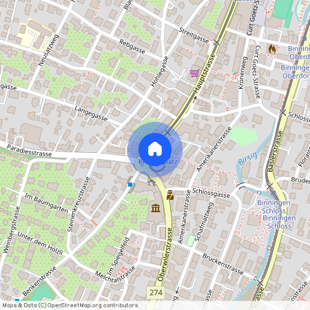 Hauptstrasse 125, 4102 Binningen