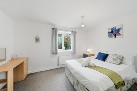 2 Bed Detached House, Chelmsford Drive, CV6 - Photo 3