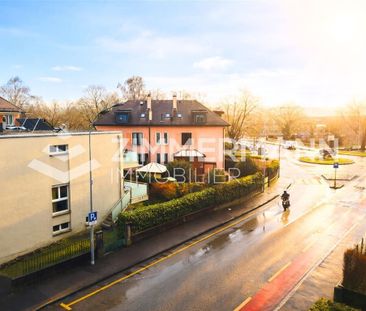 Apartment,3,60 - Photo 6