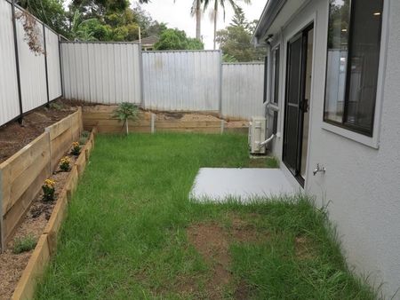 Rare Find! - Photo 4