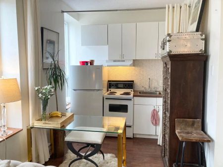 Gladstone Suites — Large Bright Sunny STUDIO - Photo 2