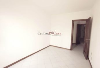 Grazioso tricolare in contesto di corte.