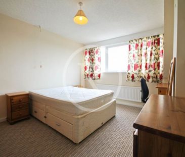 1 Bed - Rhoshendre, Waun Fawr, Aberystwyth - Photo 5