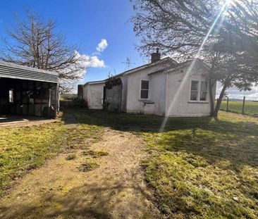 Classic Kiwi Farmhouse - Photo 2