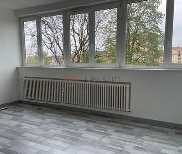 Appartement 1 pièce à Metz - Photo 2