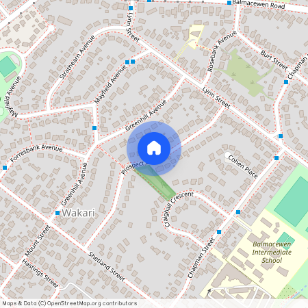 41 Prospect Bank, Wakari, Dunedin City