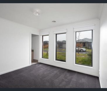 Modern 4-Bedroom Family Home in Mickleham - Photo 5