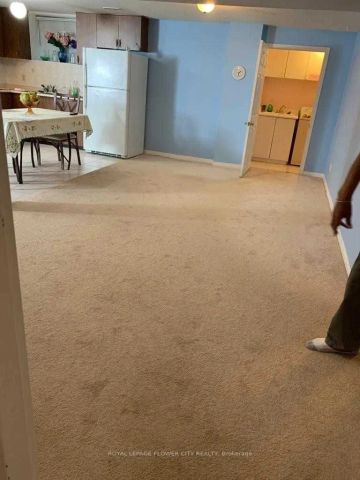 5688 Brightpool Crescent #Bsmt - Photo 4