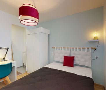 BOUGAINVILLE S Roommate 4 Bedrooms at Toulouse - Photo 1
