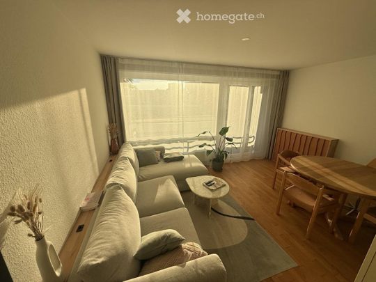Sublet Fully Furnished 2-Room Apartment in Cham, Zug Kanton - Foto 1