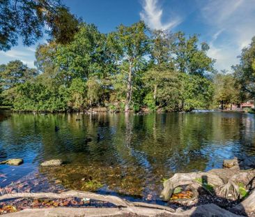 1 bedroom flat to rent - Photo 6