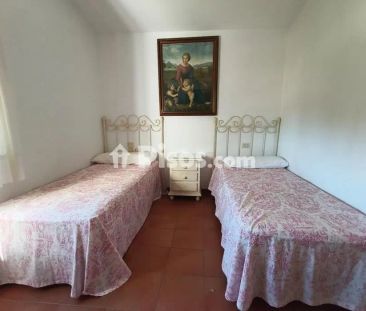 Casa pareada en alquiler en Vistahermosa - Photo 4