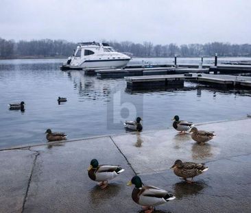 MODERNES WOHNEN DIREKT AM WASSER - Foto 1