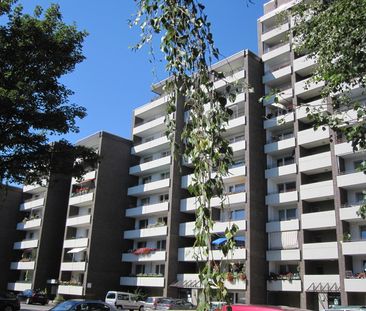 Singles aufgepasst! Hübsche 1-Zimmerwohnung mit Sonnenbalkon! Mit WBS! - Photo 1