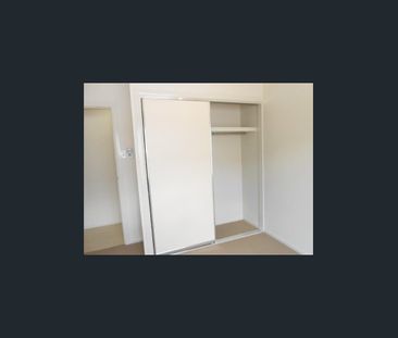 Stylish Family Home + Large 6x6 Powered Shed - Photo 3