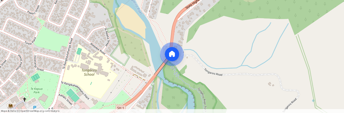 4 Gosling Grove, Turangi, Turangi