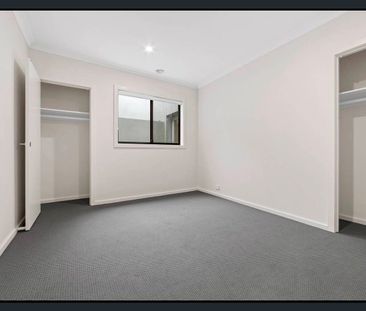 Splendid 3Br Family Unit in Deanside! - Photo 1