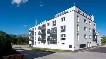 HAINBURG I/1 - Foto 3