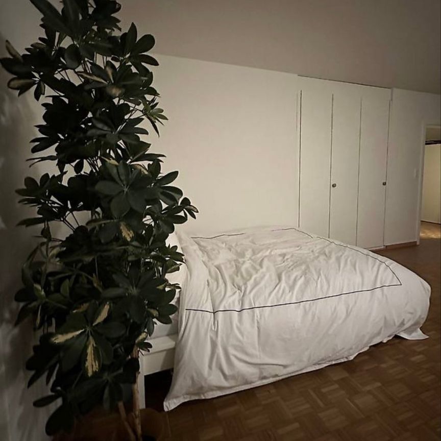 1.5 Zimmer, 55 m² - Photo 1