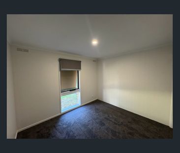 Newly Renovated! - Photo 2