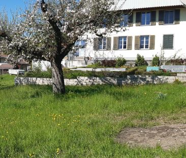 3.5 Zimmer, 110 m² - Foto 4