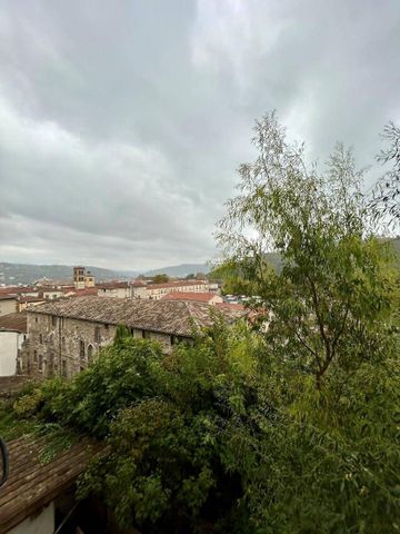 Location appartement 1 pièce 21.95 m² à Vienne (38200) - Photo 4