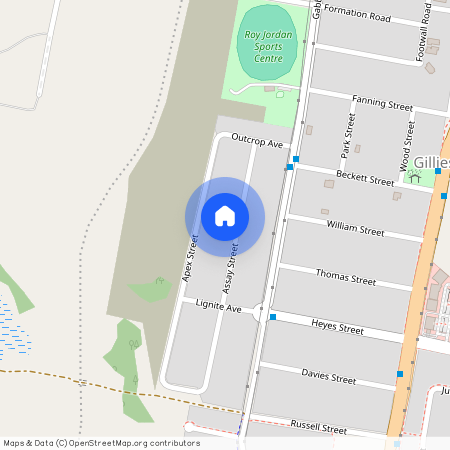 18 Assay Street, NSW 2321, Gillieston Heights