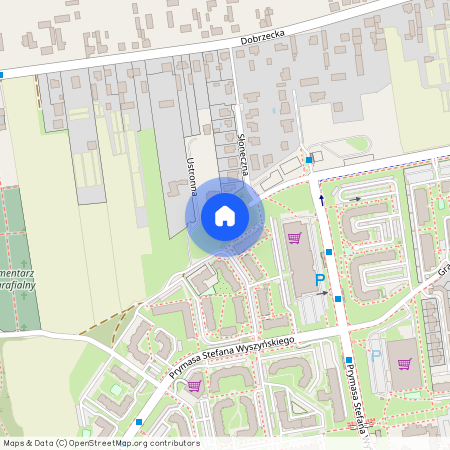 ul. Aliny Szapocznikow 10, Kalisz