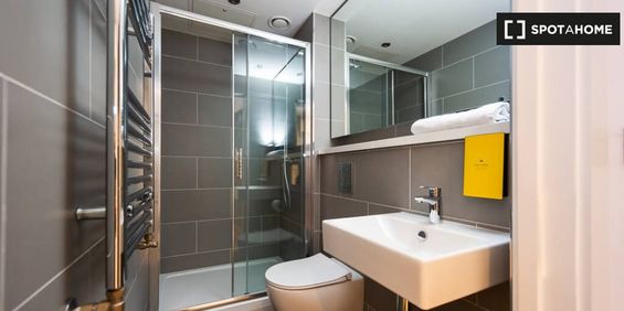 Serviced studio apartment for rent in The Liberties, Dublin - Photo 3