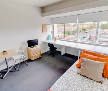 Medium Studio - Photo 4