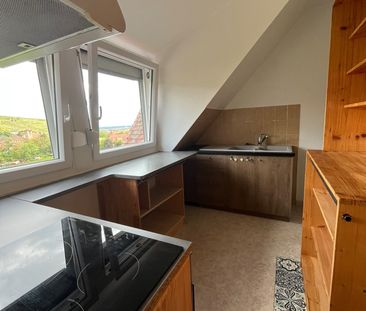location Appartement 3 pièces à Ribeauville - REF 344-RS - Photo 3