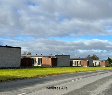 Rævdalsparken, Blåbærhaven, Lemmingsvej, Geråvej, Fredensgade, Molt... - Photo 5