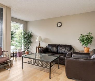 Renovated Suite - 1 Bedroom - Photo 1