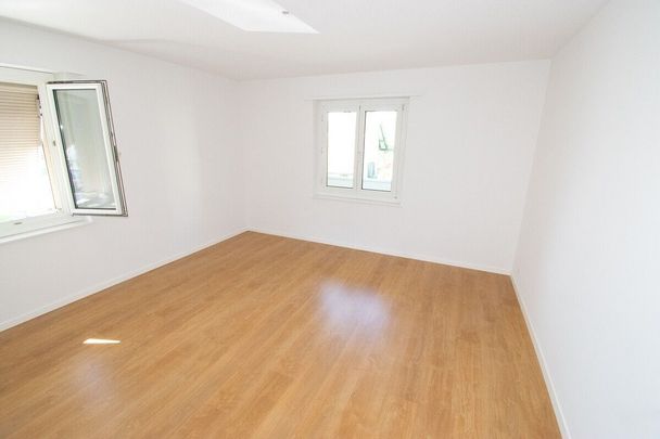 Spacious 4.5-room apartment on the ground floor - Photo 1